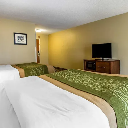 Comfort Inn & Suites Walterboro I-95 Extérieur photo